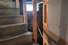 103b429a-4e9d-468a-a92b-8e3ed95c2d90