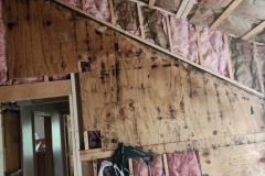 82c3929e-3ae1-487d-8ca6-1347ab44563e