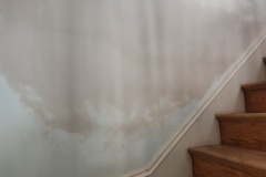 365cae97-3ba0-4110-b60f-b372f8579a8f