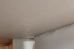 7dafe949-a66e-4ee9-a988-21e7fa6273a5