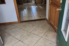 6cc69237-86fe-4bb2-934c-5ab1bdedf531